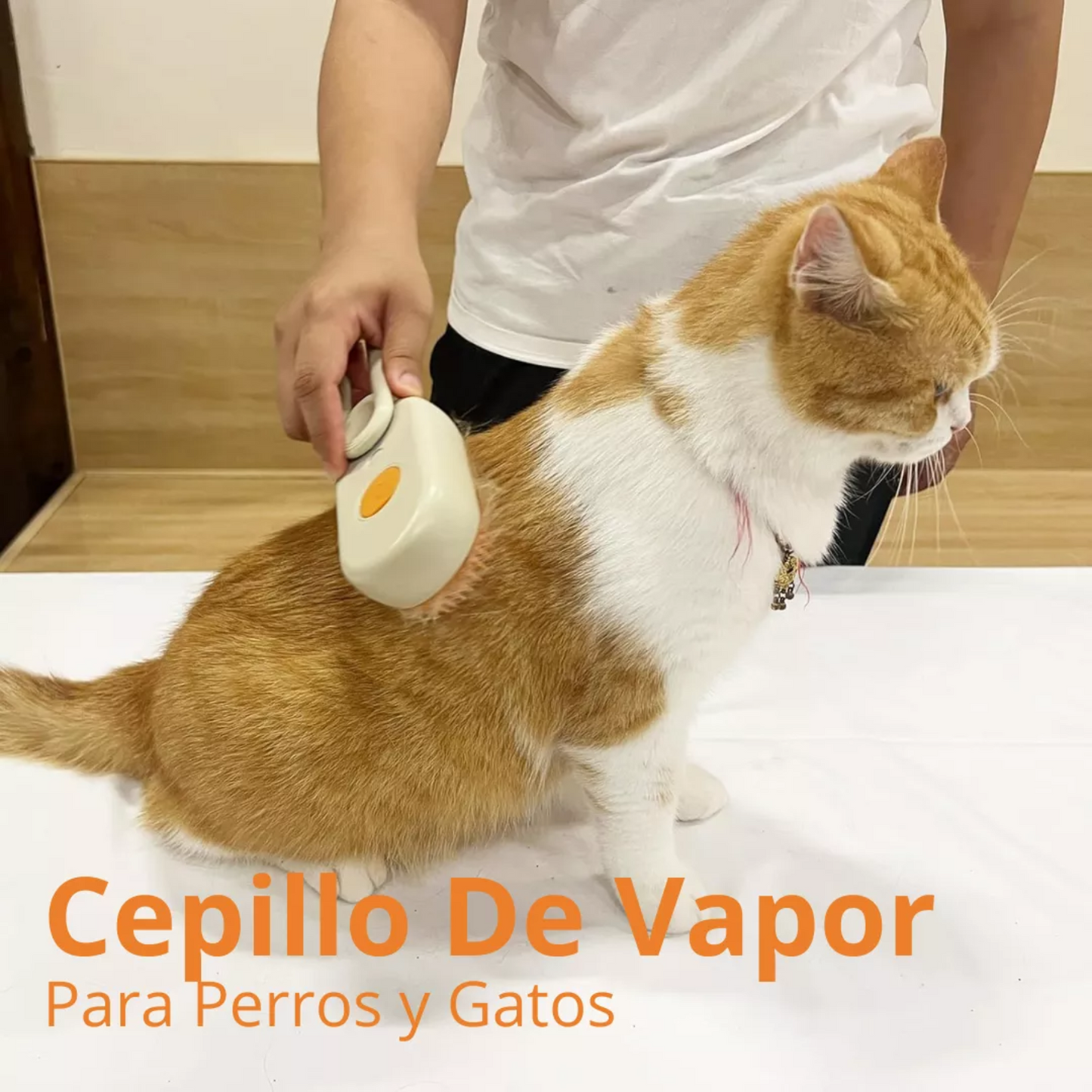 Cepillo Para Mascotas a Vapor Recargable 3 en 1